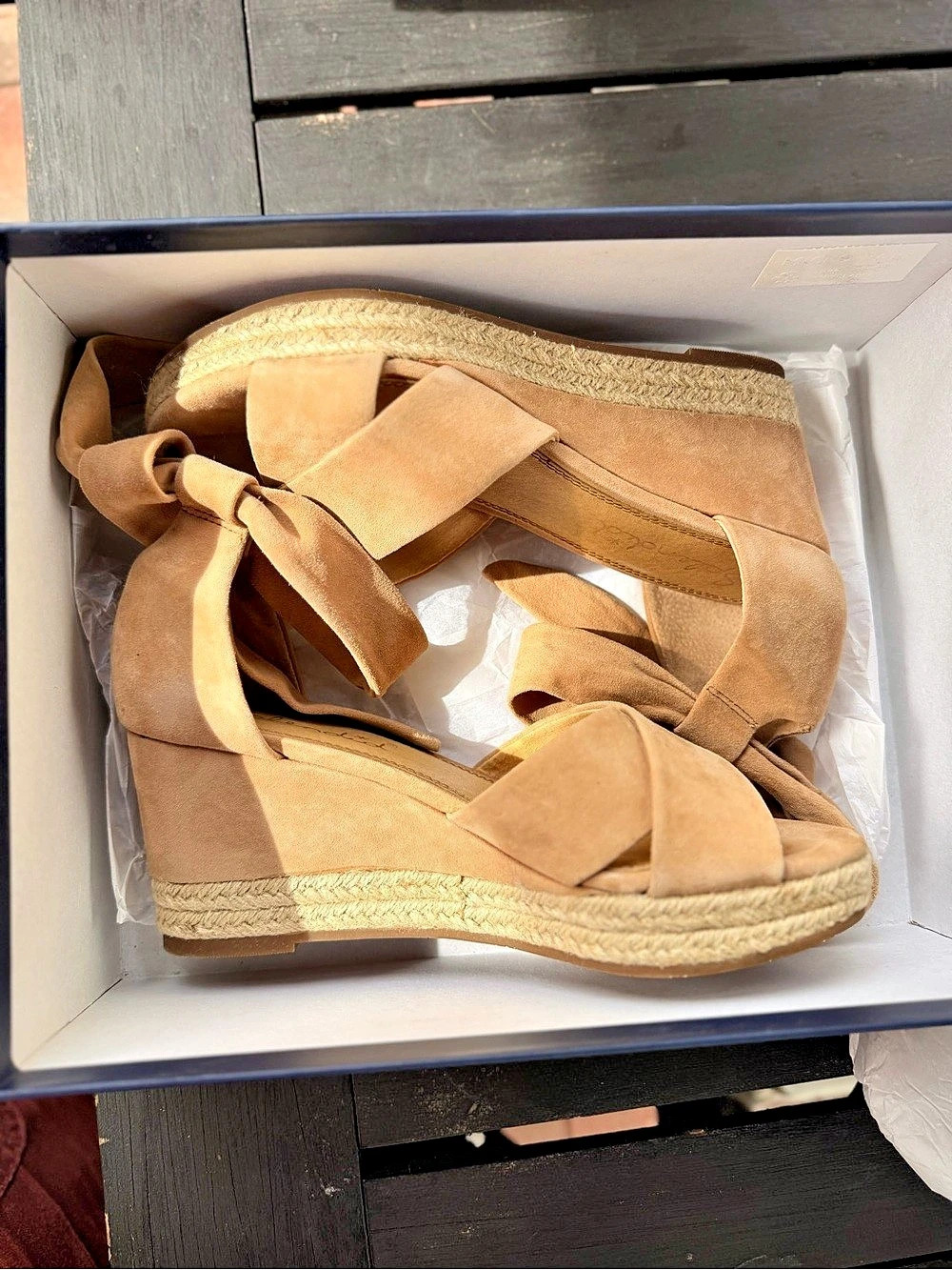 Splendid Suede Espadrille Wedge Sandals with Ankle Ties Brown